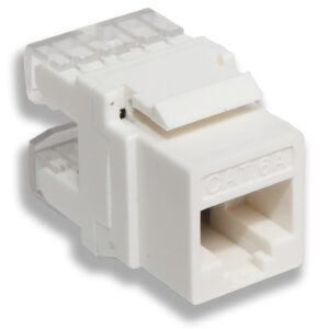 Newlink Jack RJ45 CAT5e (NEW-3555006) Azul