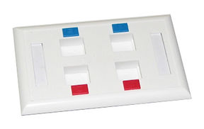 Newlink Caja de Distribución de 2 X 4 (NEW-7834102)